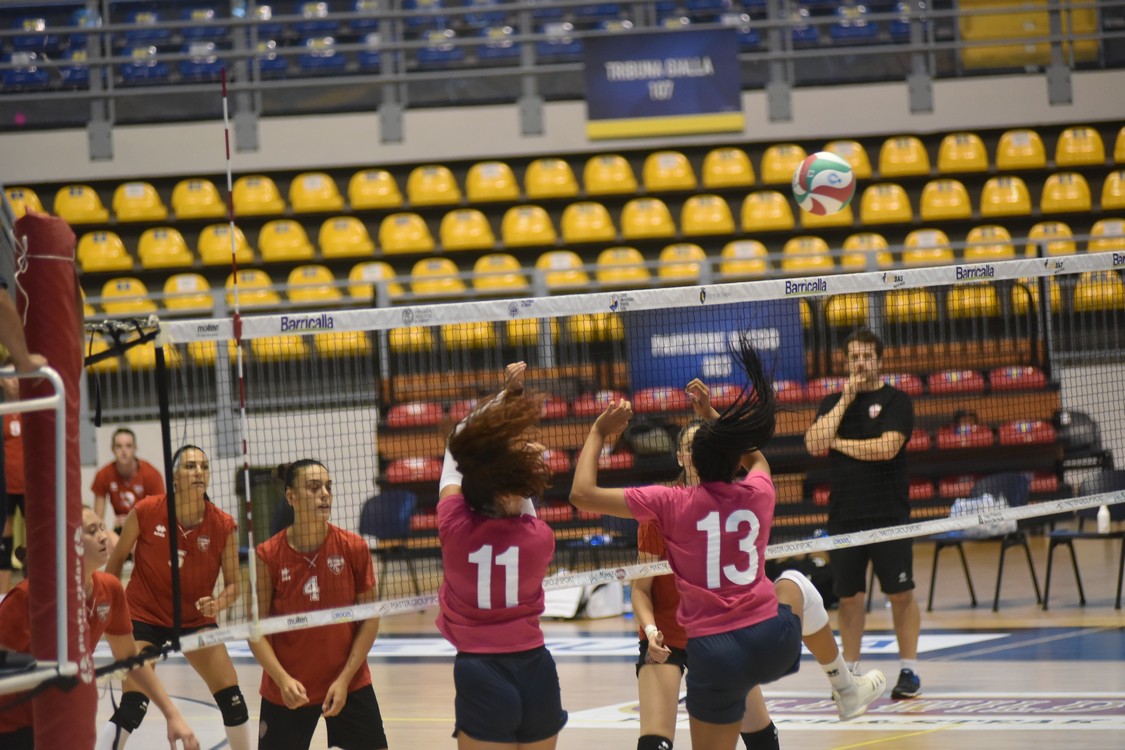 MAS_0528.jpg