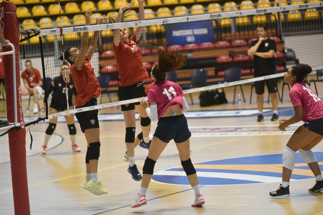 MAS_0538.jpg