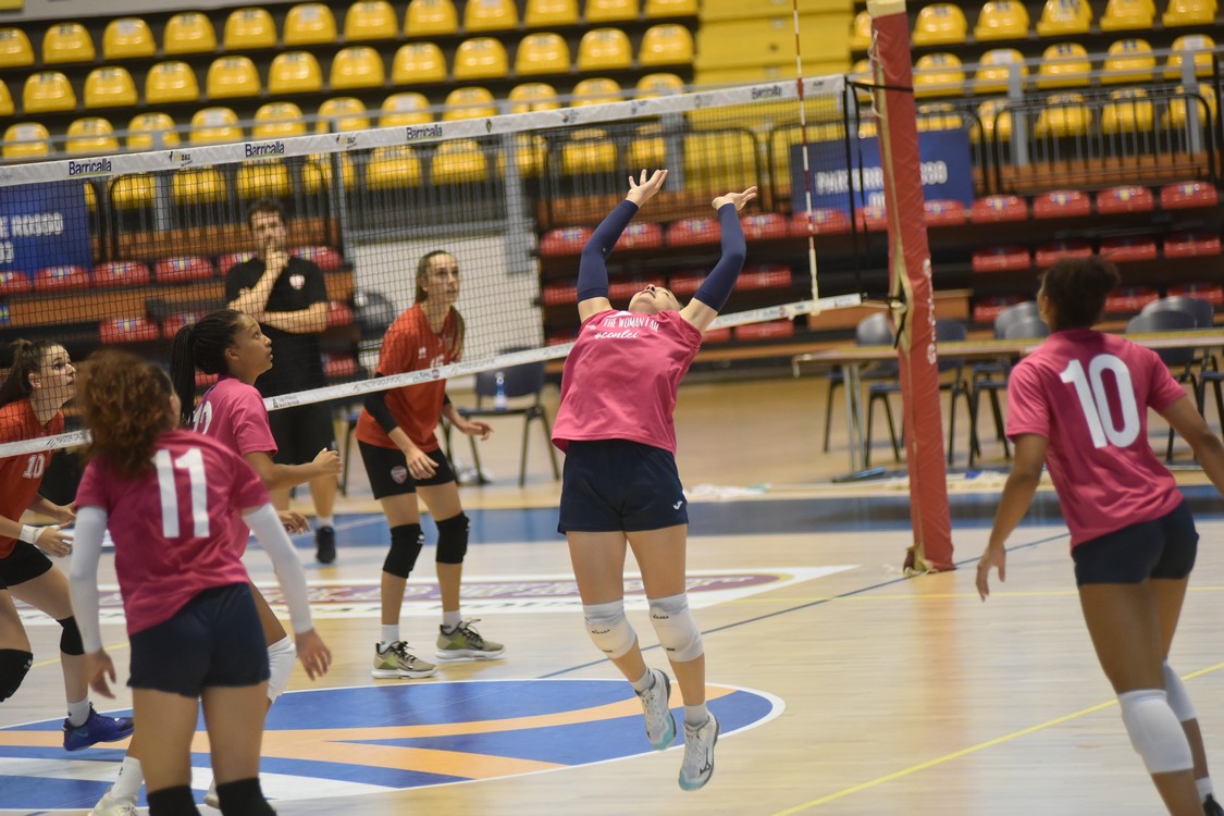 MAS_0540.jpg