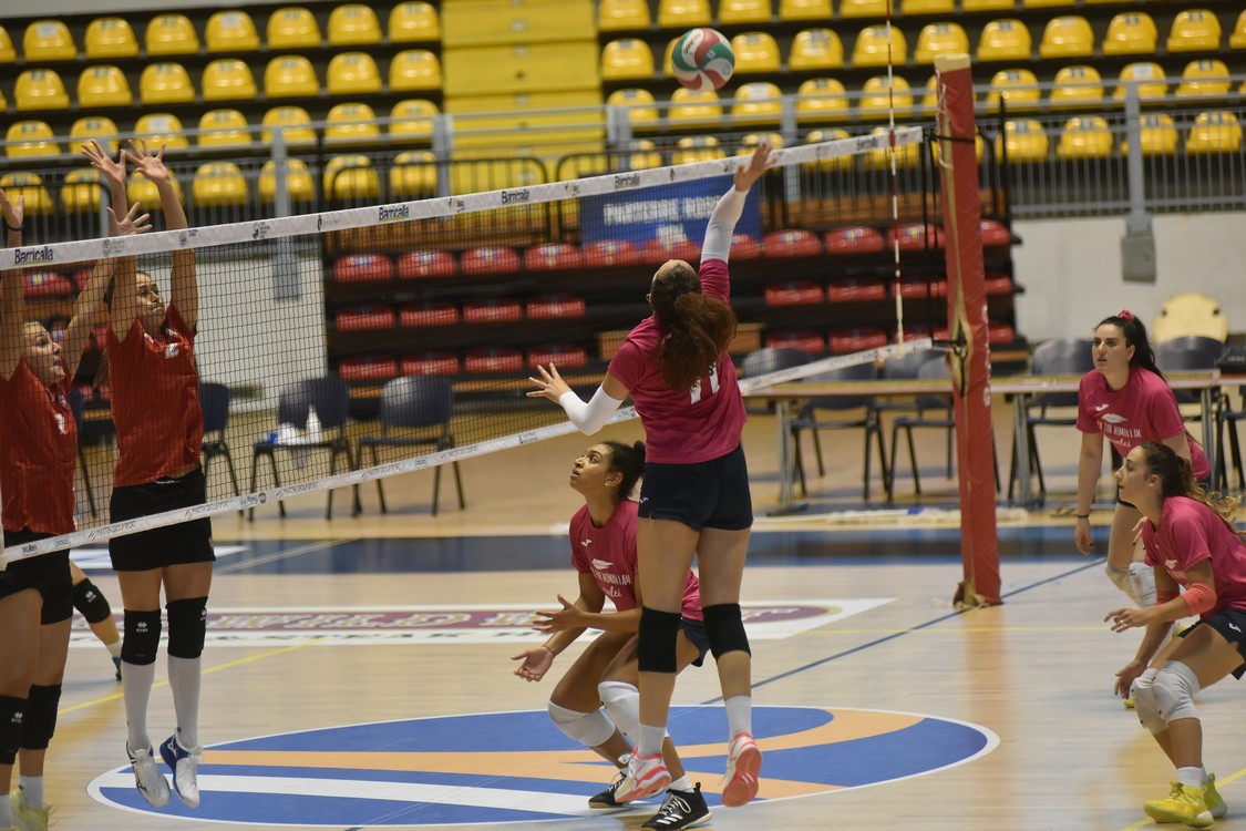 MAS_0655.jpg