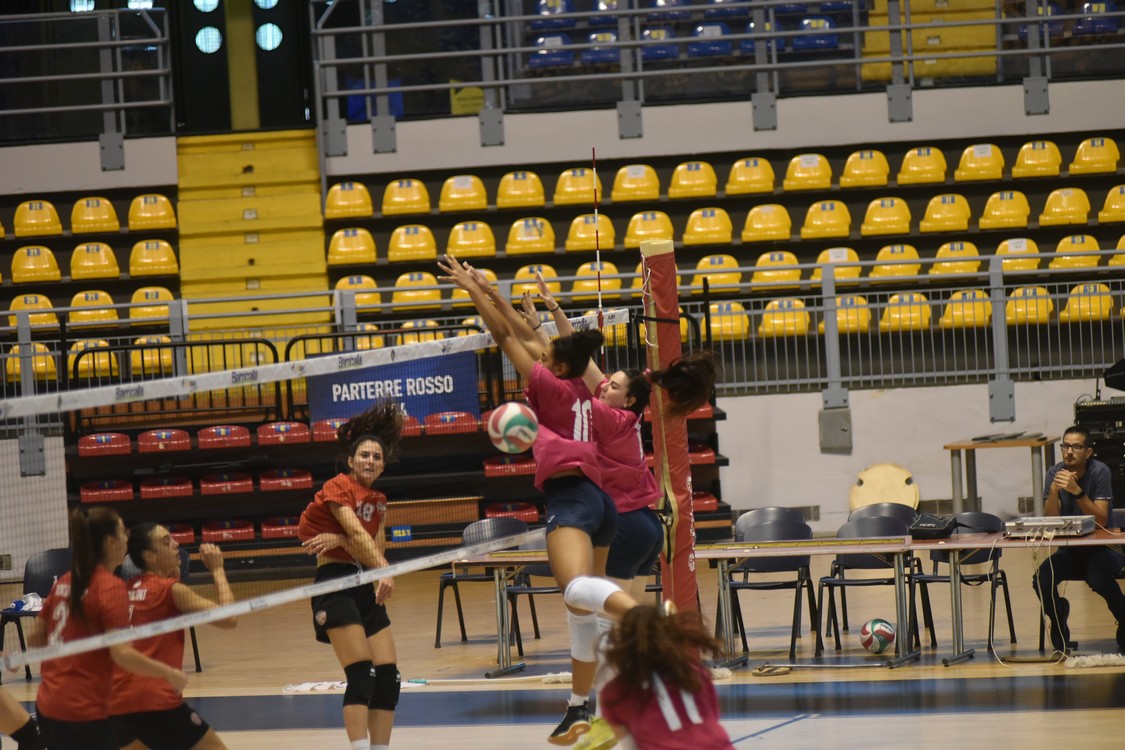 MAS_0659.jpg