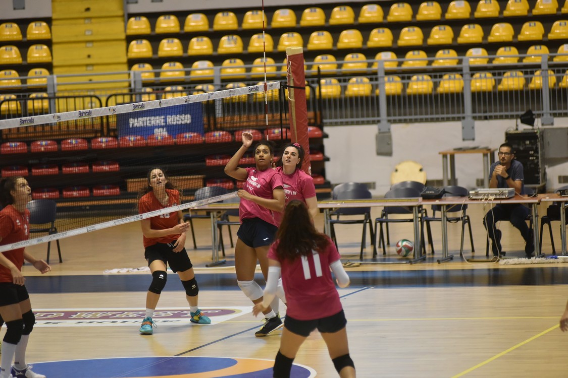 MAS_0660.jpg
