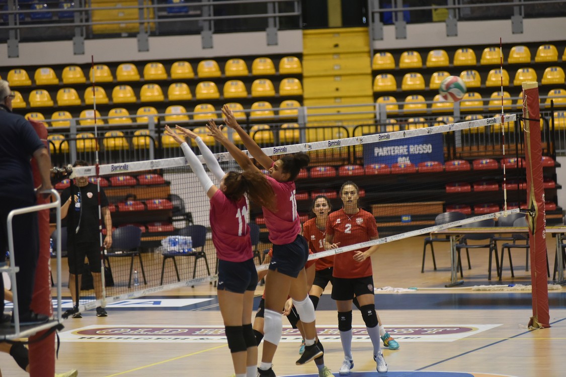 MAS_0661.jpg