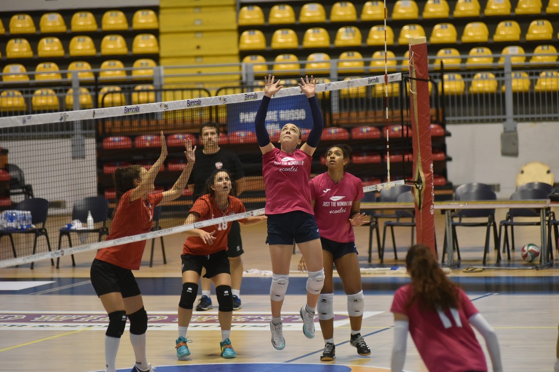 MAS_0665.jpg
