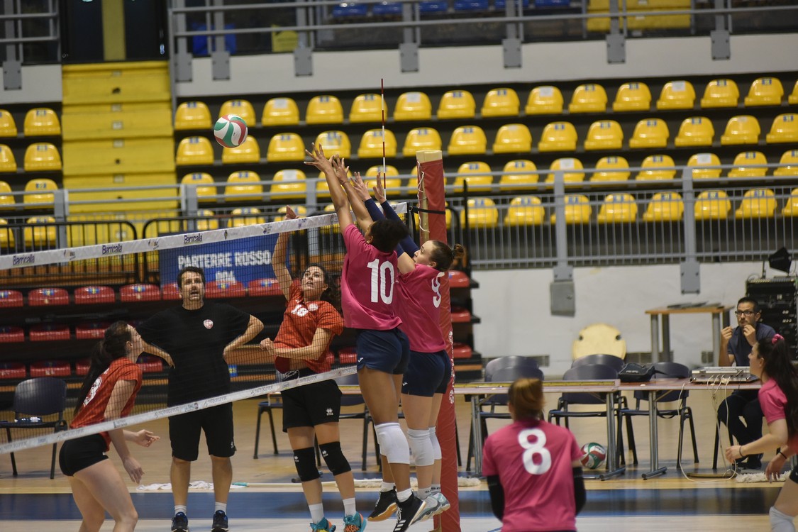 MAS_0673.jpg