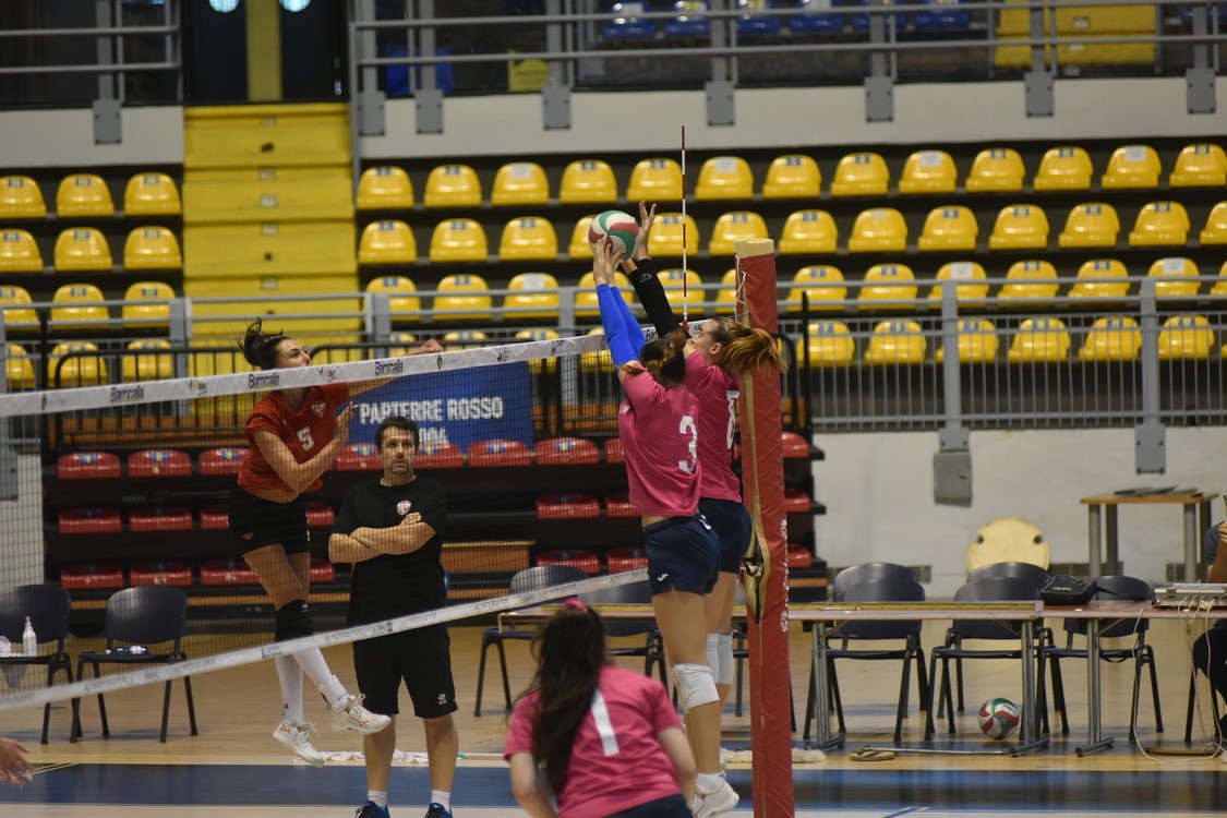 MAS_0700.jpg