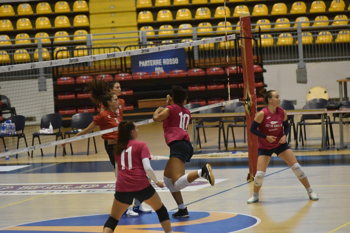 MAS_0729.jpg