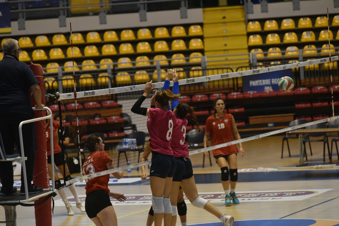 MAS_0741.jpg