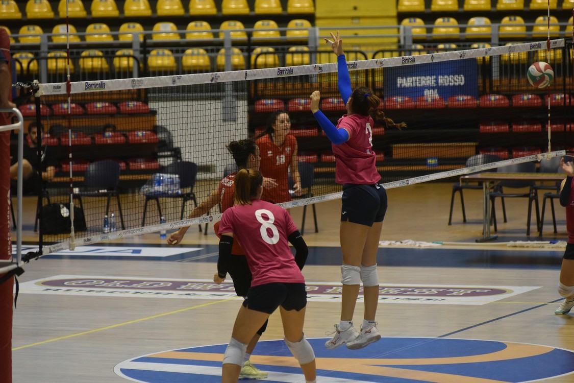 MAS_0742.jpg