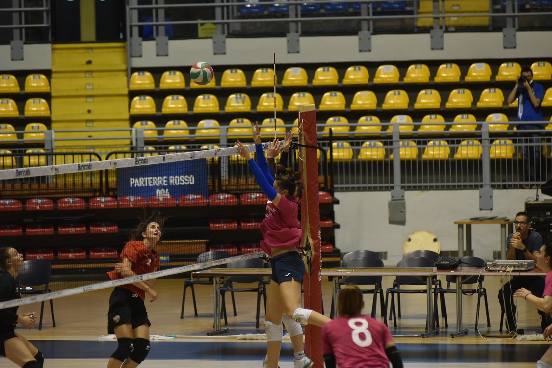 MAS_0747.jpg