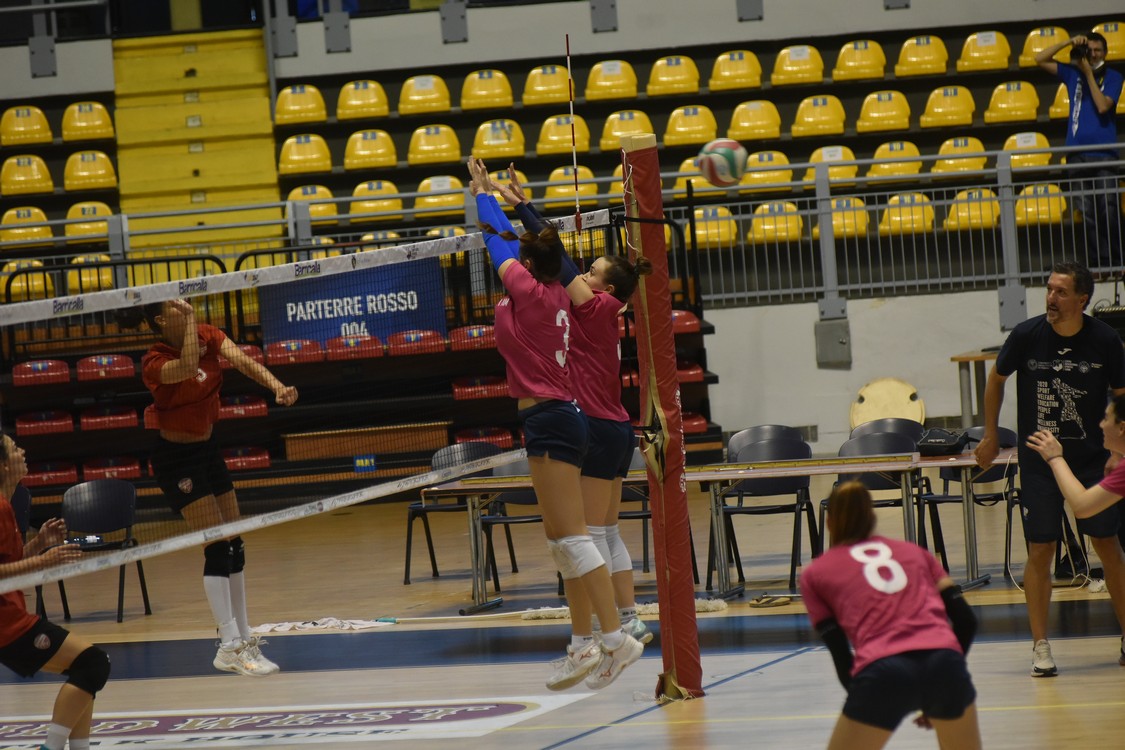 MAS_0754.jpg