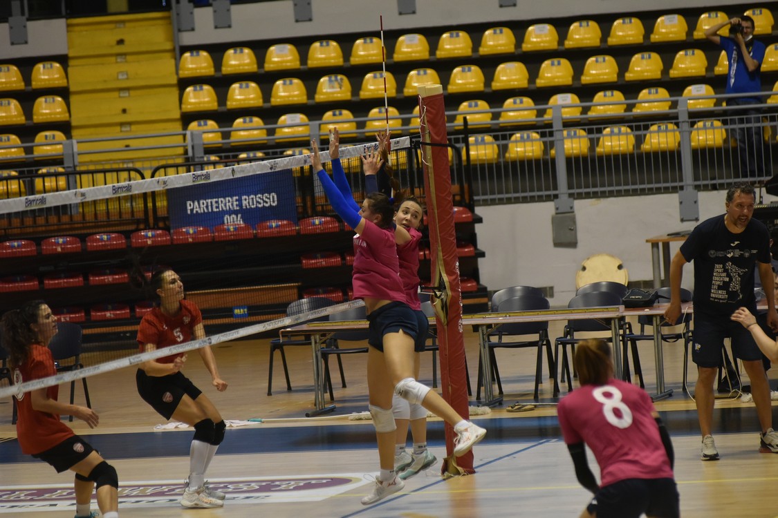 MAS_0755.jpg
