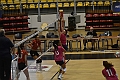 MAS_0353