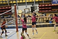 MAS_0390