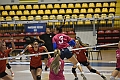 MAS_0446