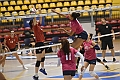 MAS_0497