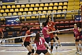 MAS_0519