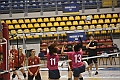 MAS_0528
