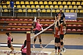 MAS_0564