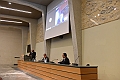 MAS_0210