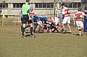 MAS_5879