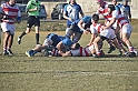 MAS_5953