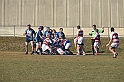 MAS_5961