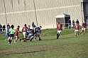 MAS_6786