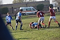 MAS_6871