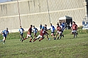 MAS_6884