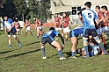 MAS_6919