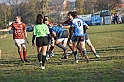 MAS_7033