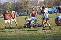 MAS_7038