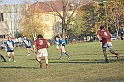 MAS_7071