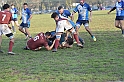 MAS_7115