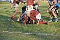 MAS_7128