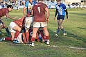 MAS_7139