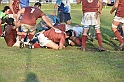 MAS_7149