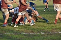 MAS_7159