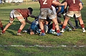 MAS_7161