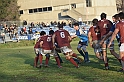 MAS_7163