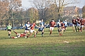 MAS_7175