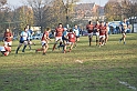 MAS_7177