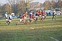 MAS_7178