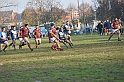 MAS_7181