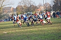 MAS_7183
