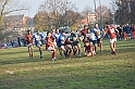MAS_7184