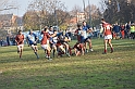 MAS_7185
