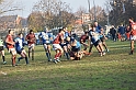 MAS_7187
