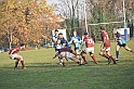 MAS_7191
